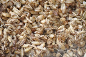 Ohio & Colorado Beverage Lawyer | Ohio & Colorado Beverage Attorney | FDA Spent Grain Rule Regulation